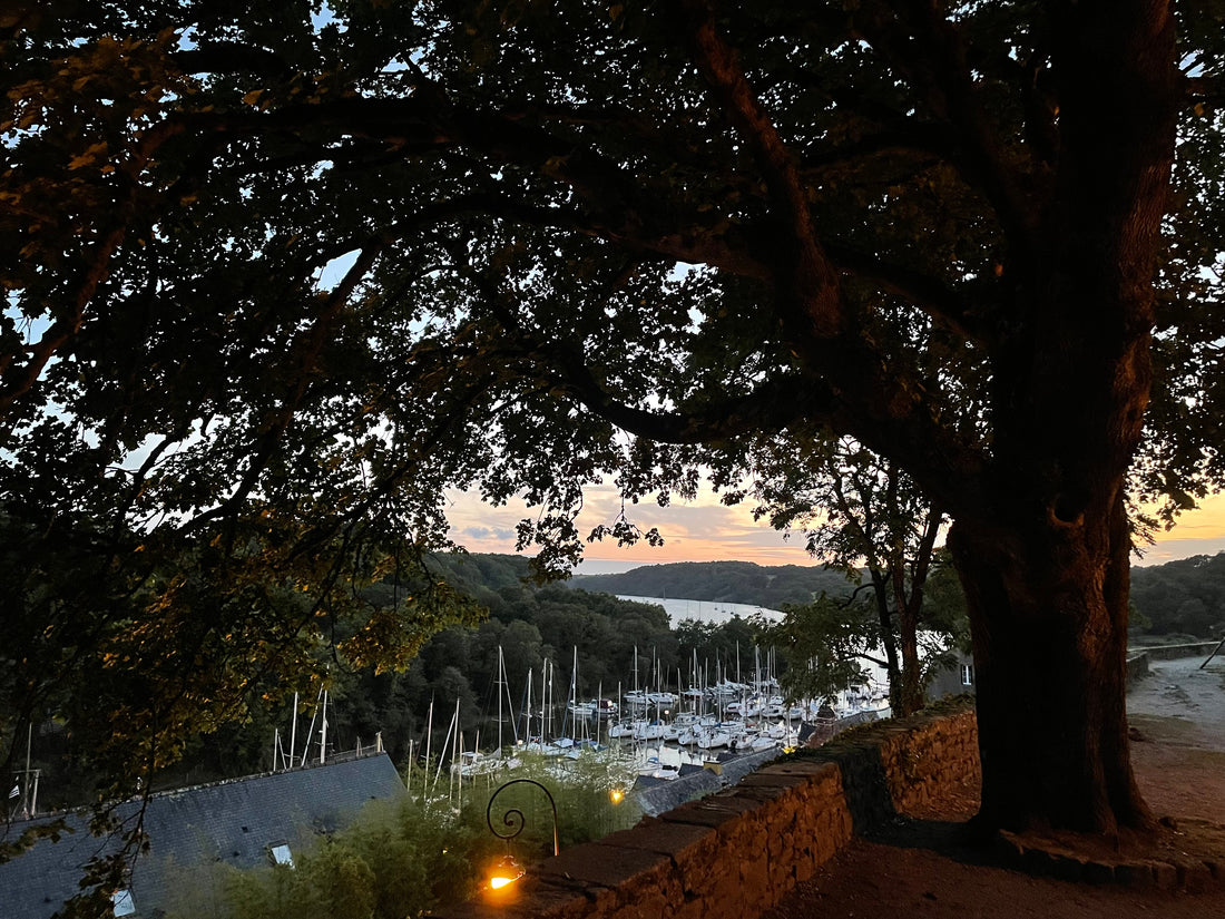 A RETURN TO LA ROCHE - Ned Boulting